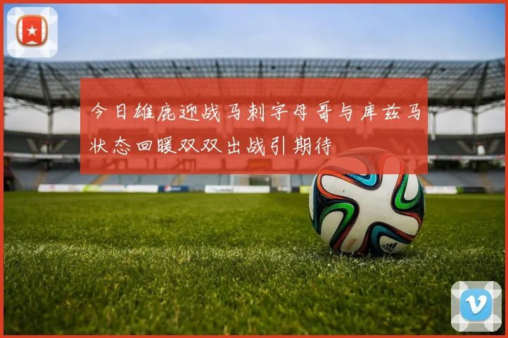 今日雄鹿迎战马刺字母哥与库兹马状态回暖双双出战引期待